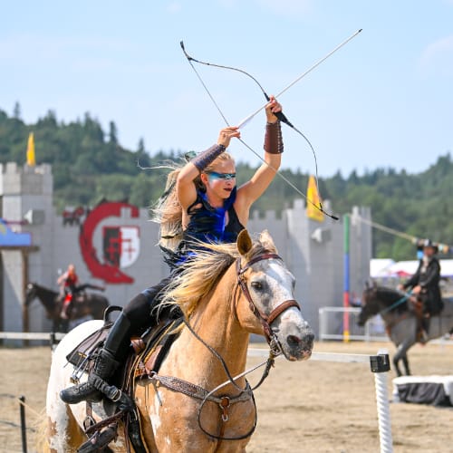 Equestrian Chaos
