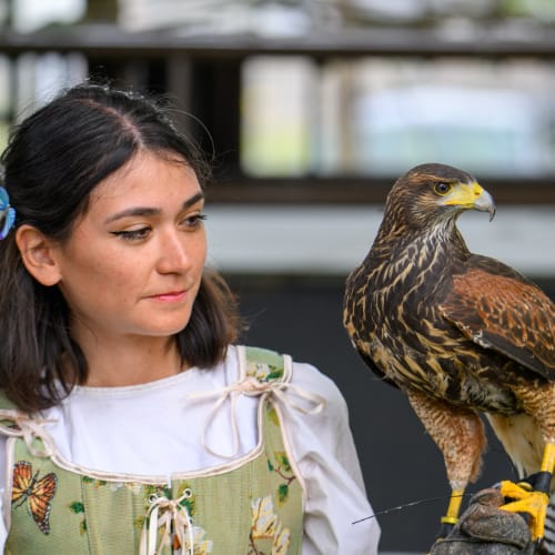 Raptor Events